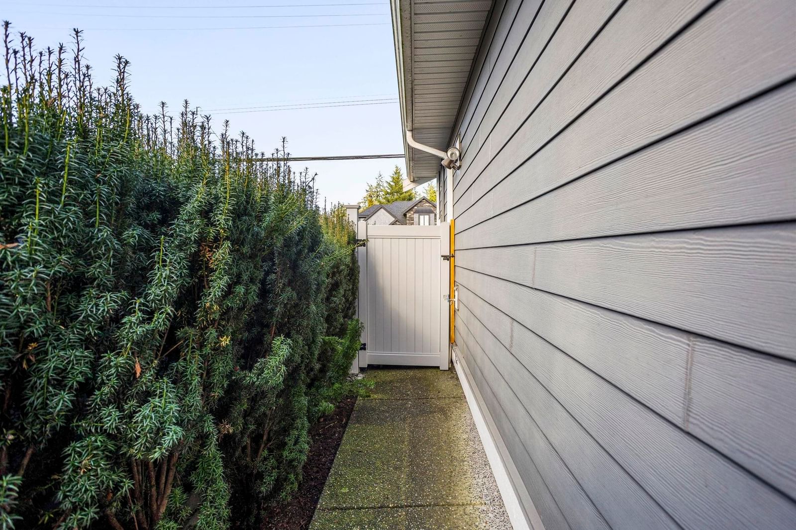 Listing Image 17
