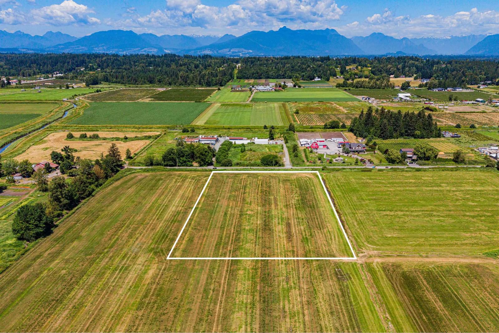 Listing Image 6