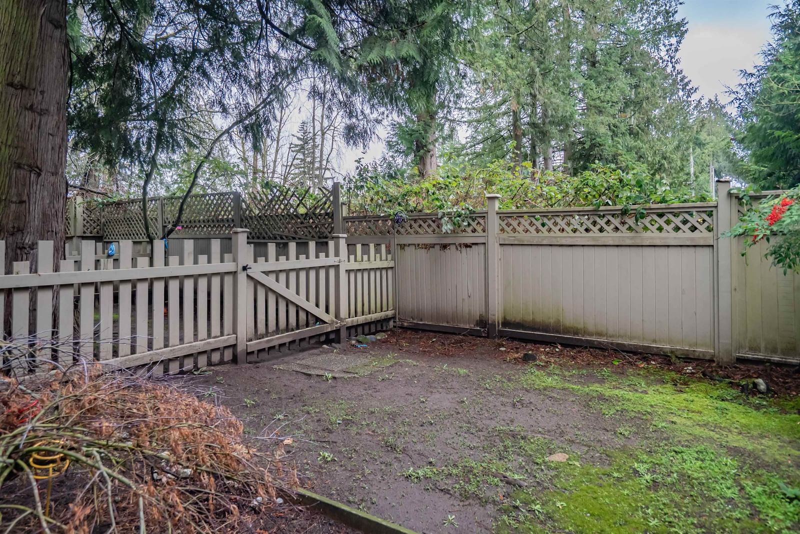 Listing Image 37