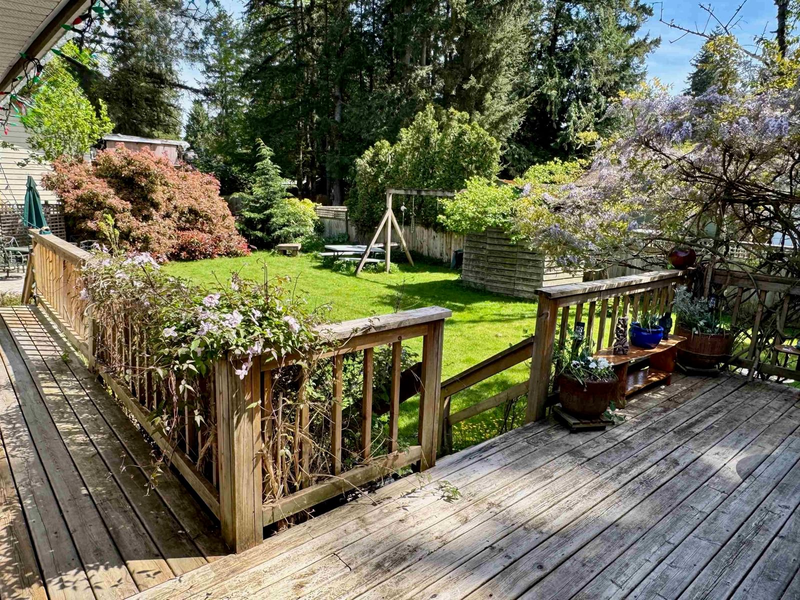Listing Image 5