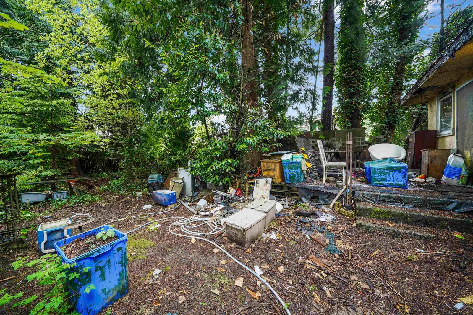 Listing Image 4