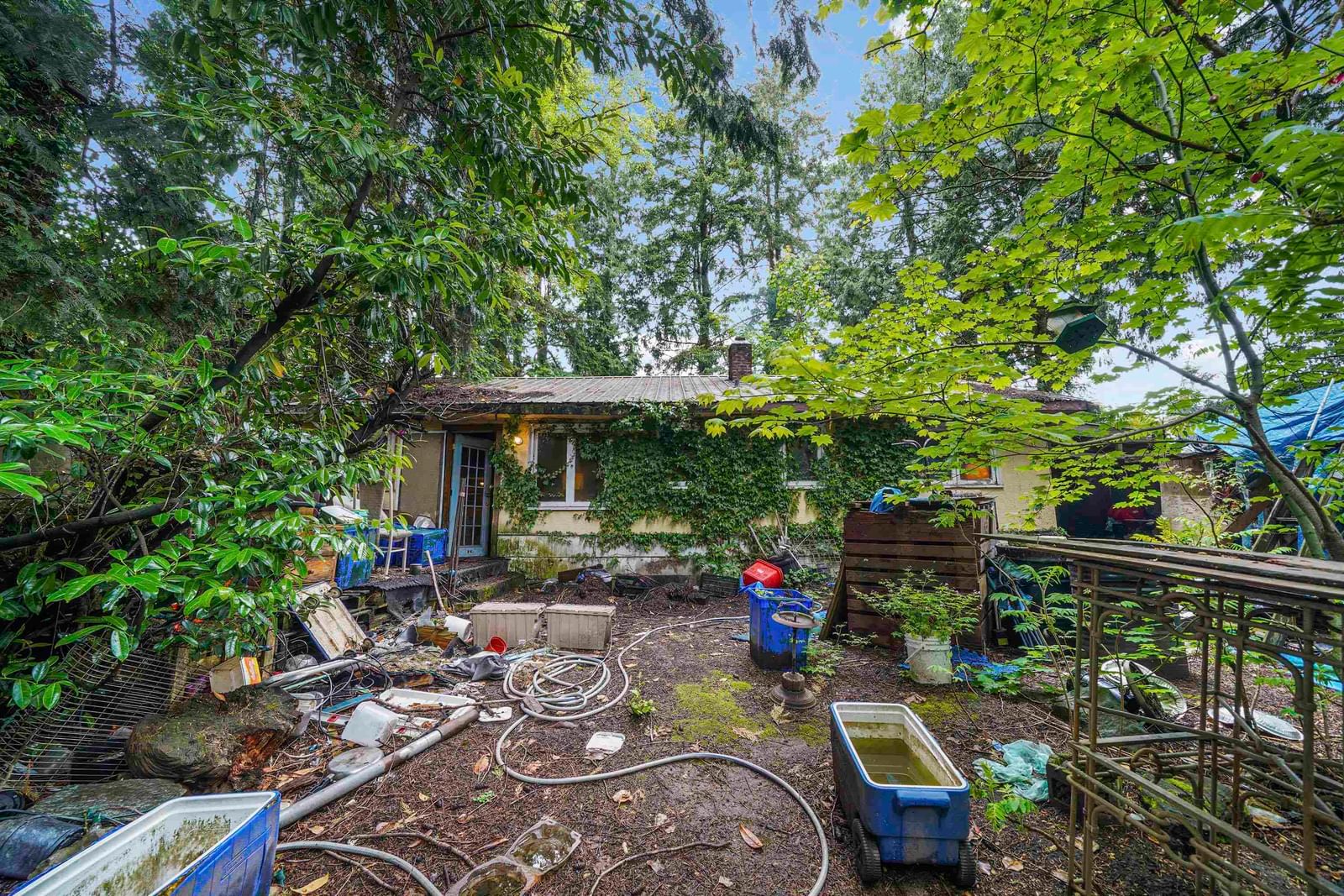 Listing Image 6
