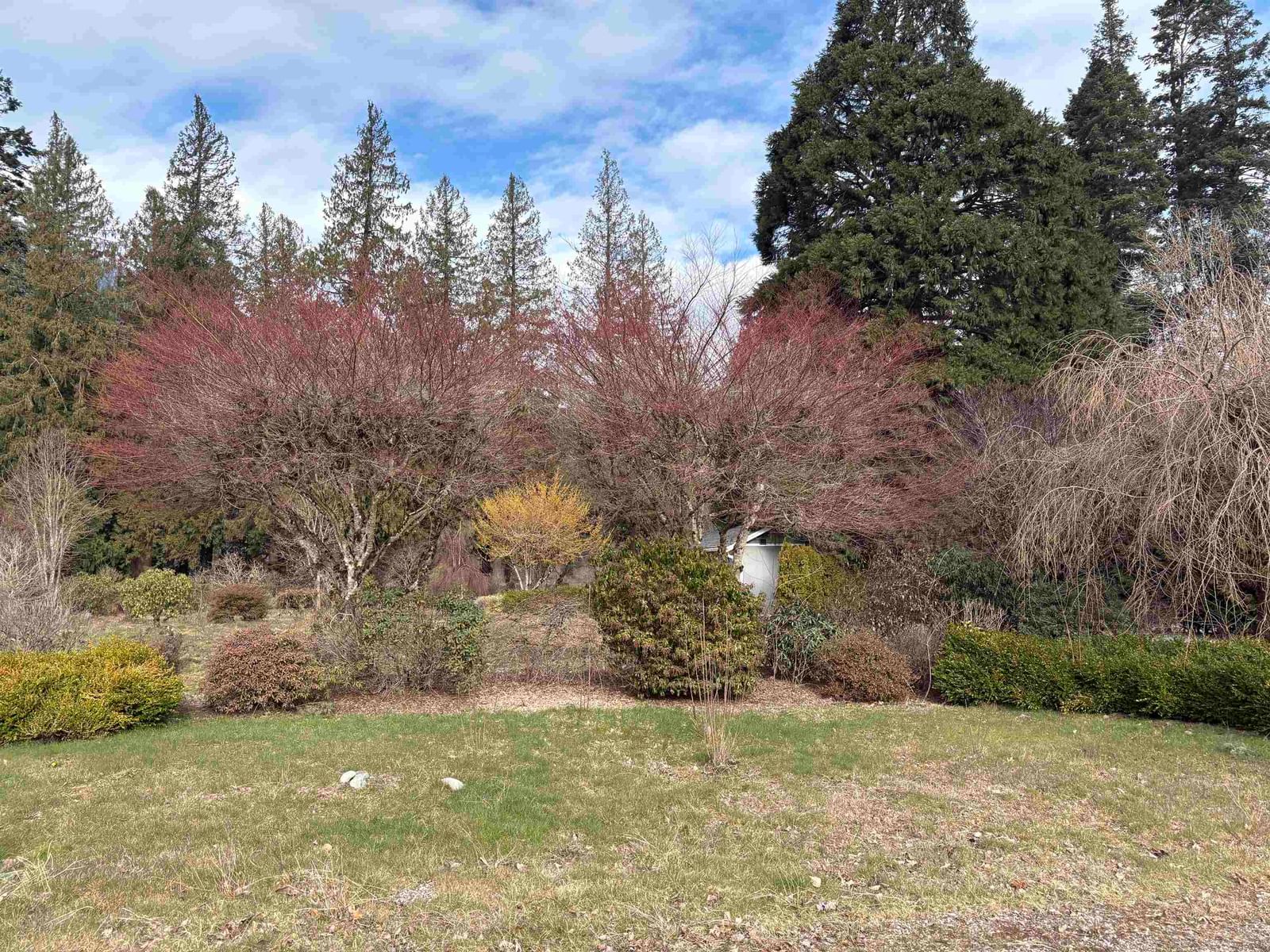 Listing Image 9