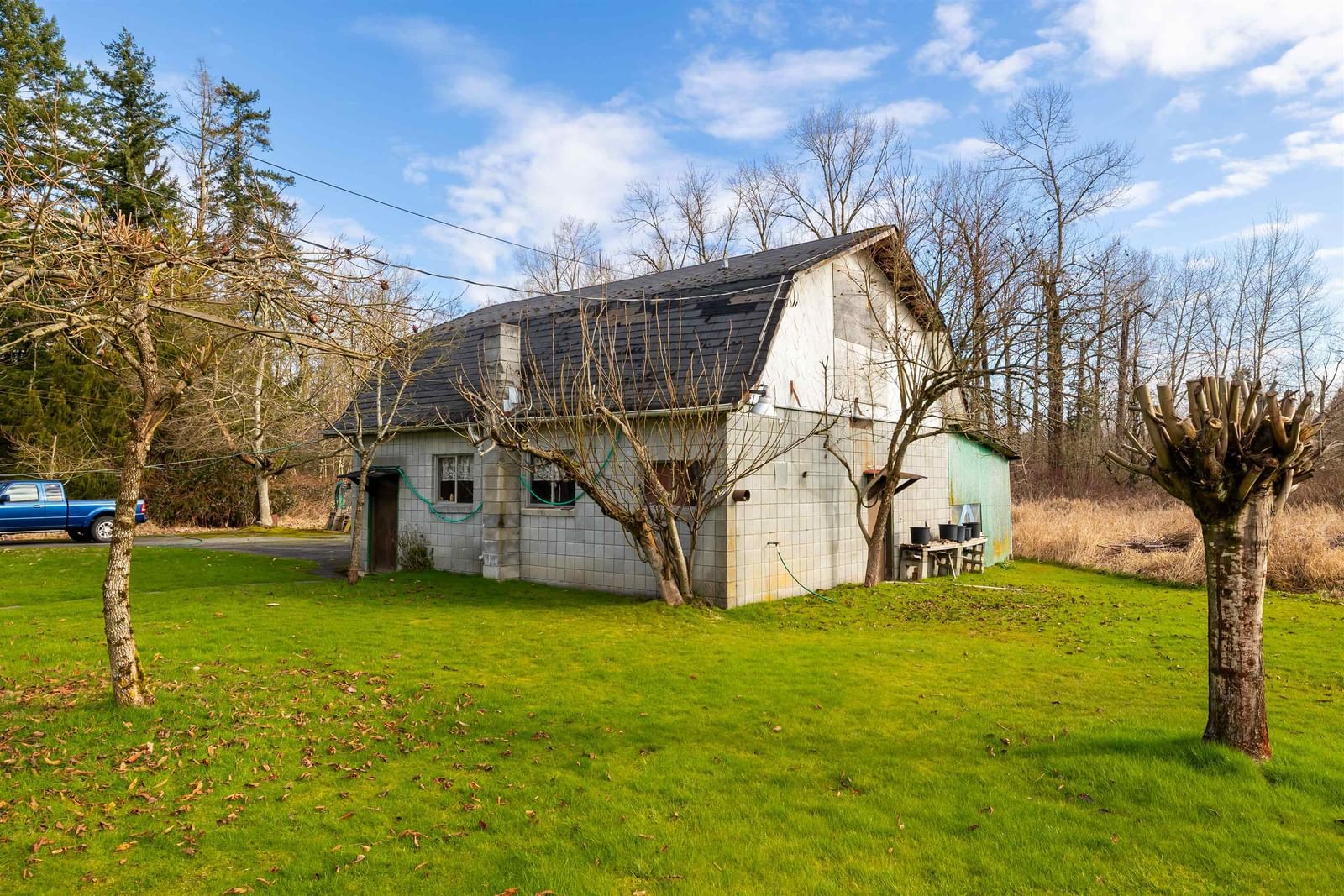 Listing Image 12