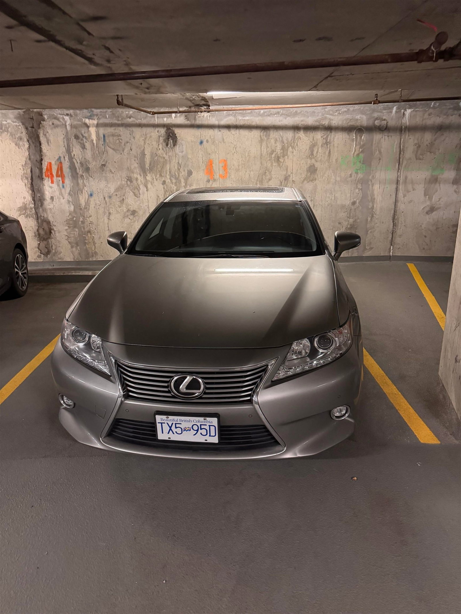 Listing Image 35