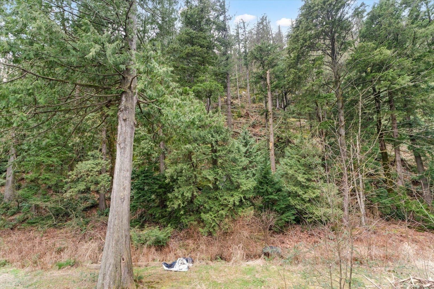 Listing Image 28