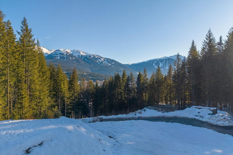 8611 Maelle Ricker Lane, Whistler, V8E 1L9 | Image 3
