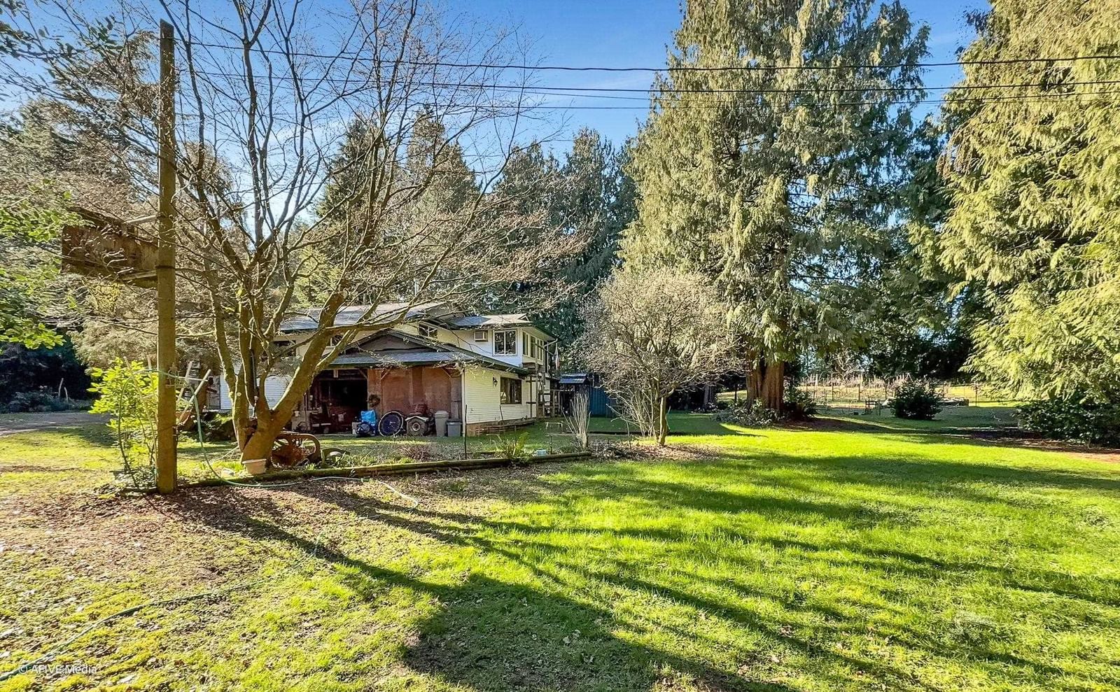 Listing Image 25