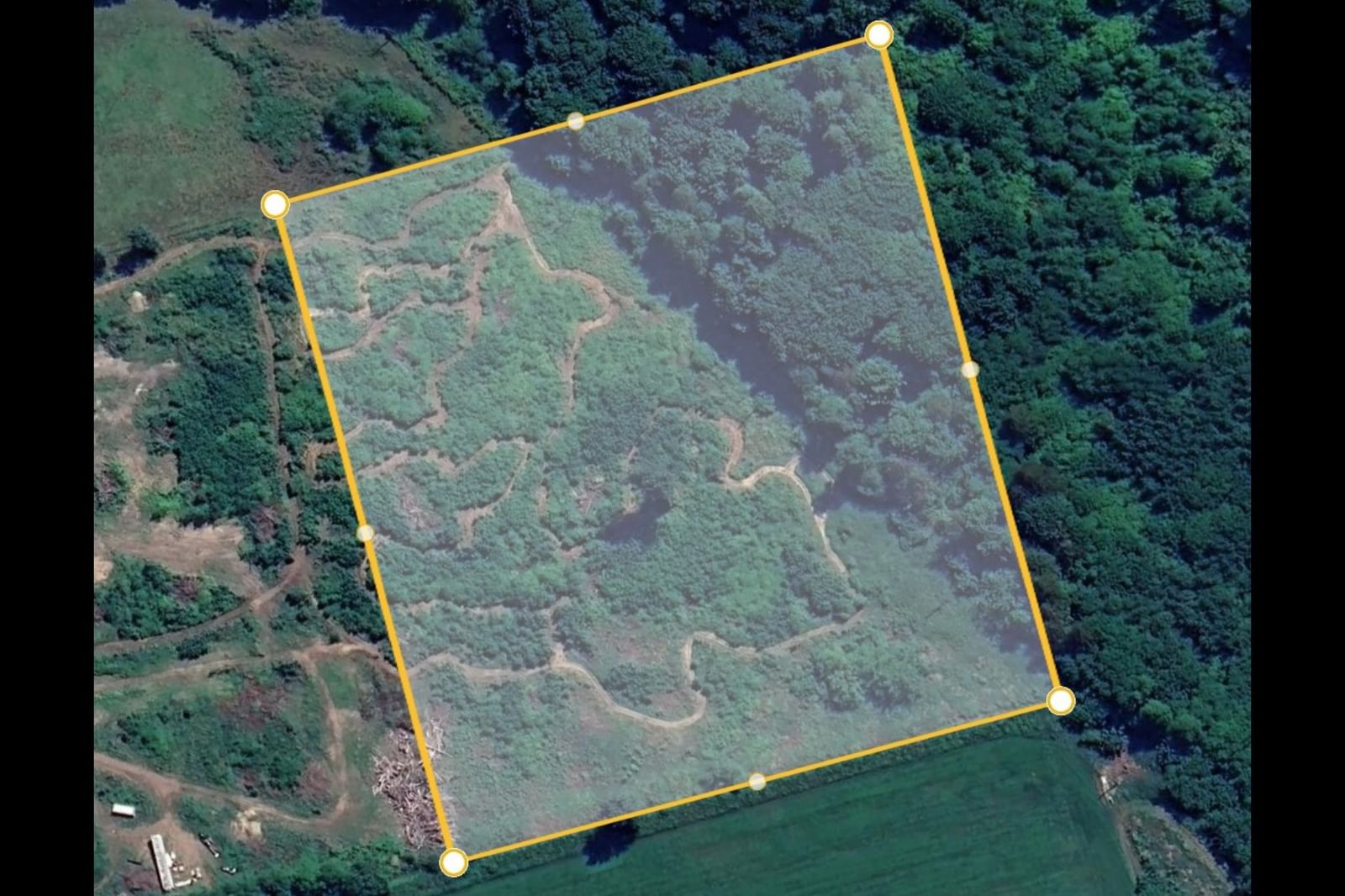 Listing Image 4