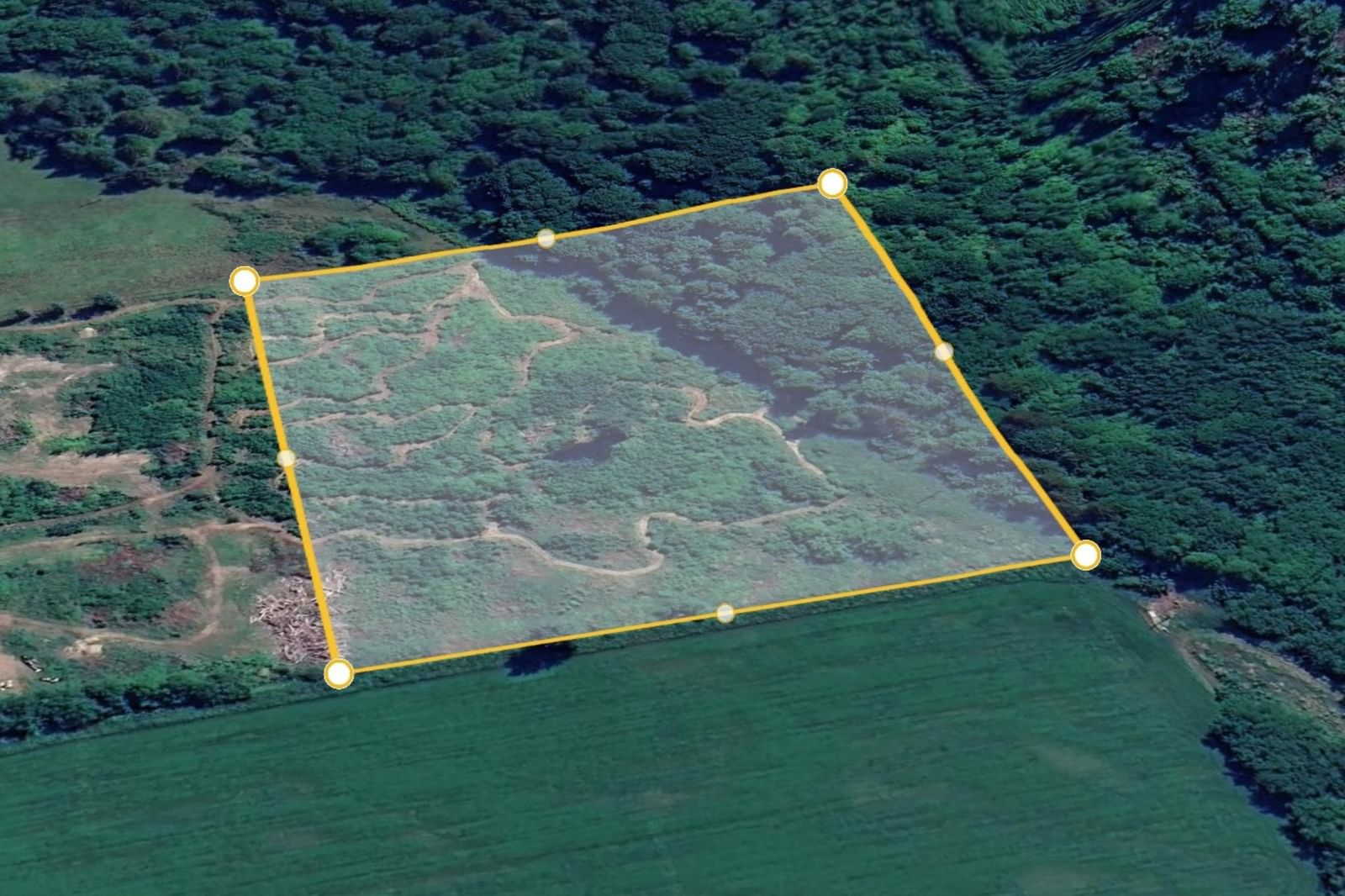 Listing Image 5