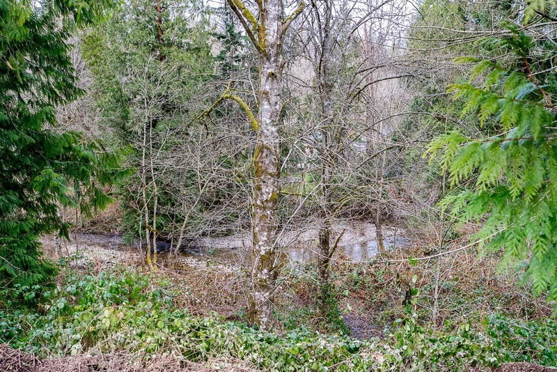 12041 256th Street Street, Maple Ridge, V4R 1B5 | Image 2