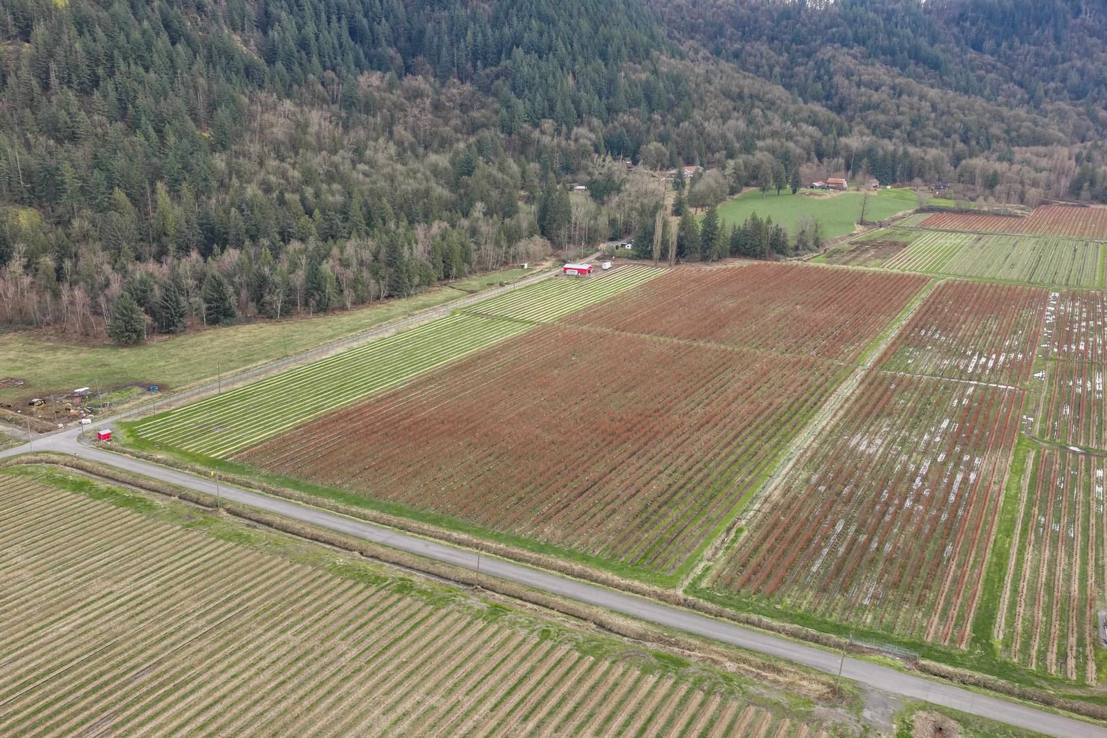 Listing Image 9