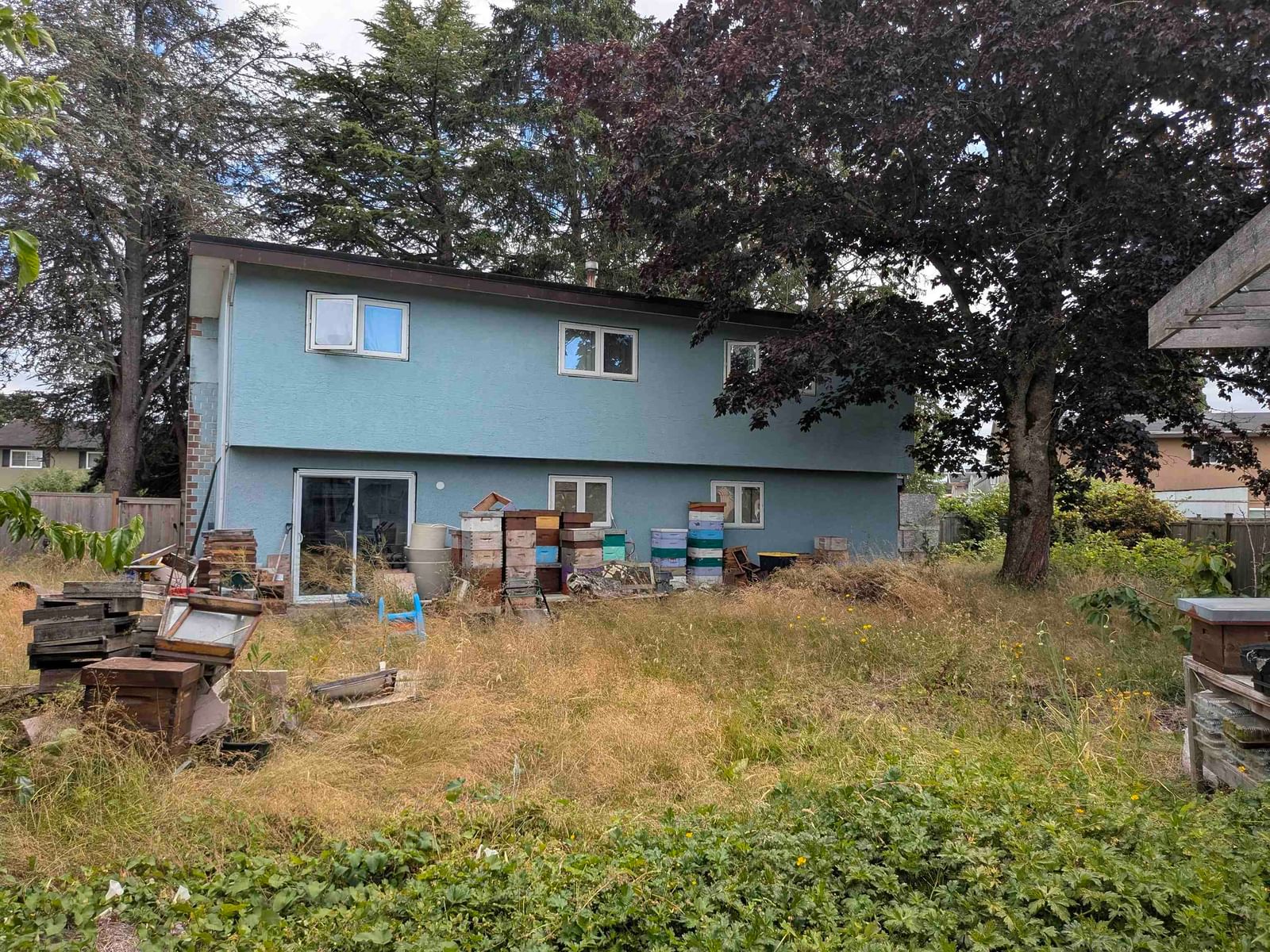 Listing Image 12