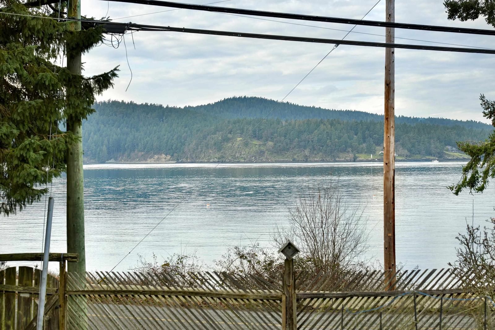 Listing Image 35