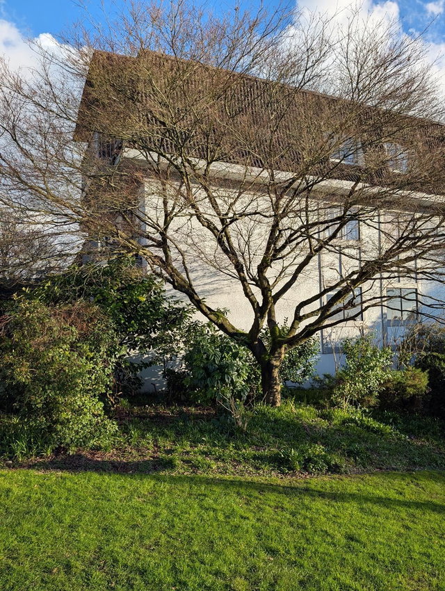 105 - 275 2nd Street W