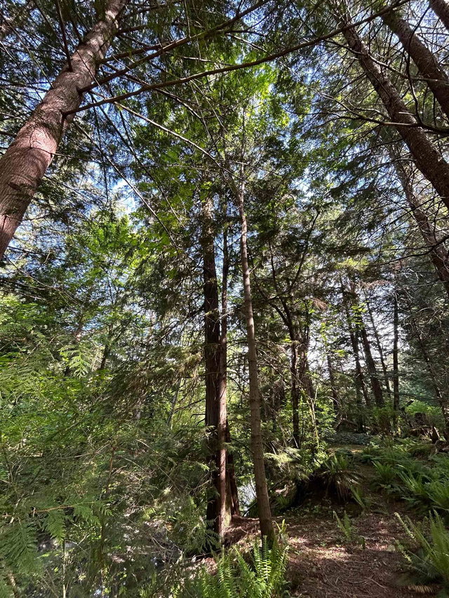 9063 Paradise Valley Road