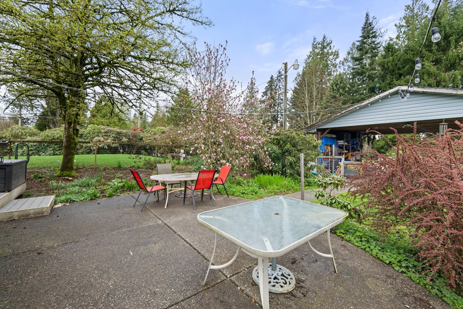 Listing Image 28