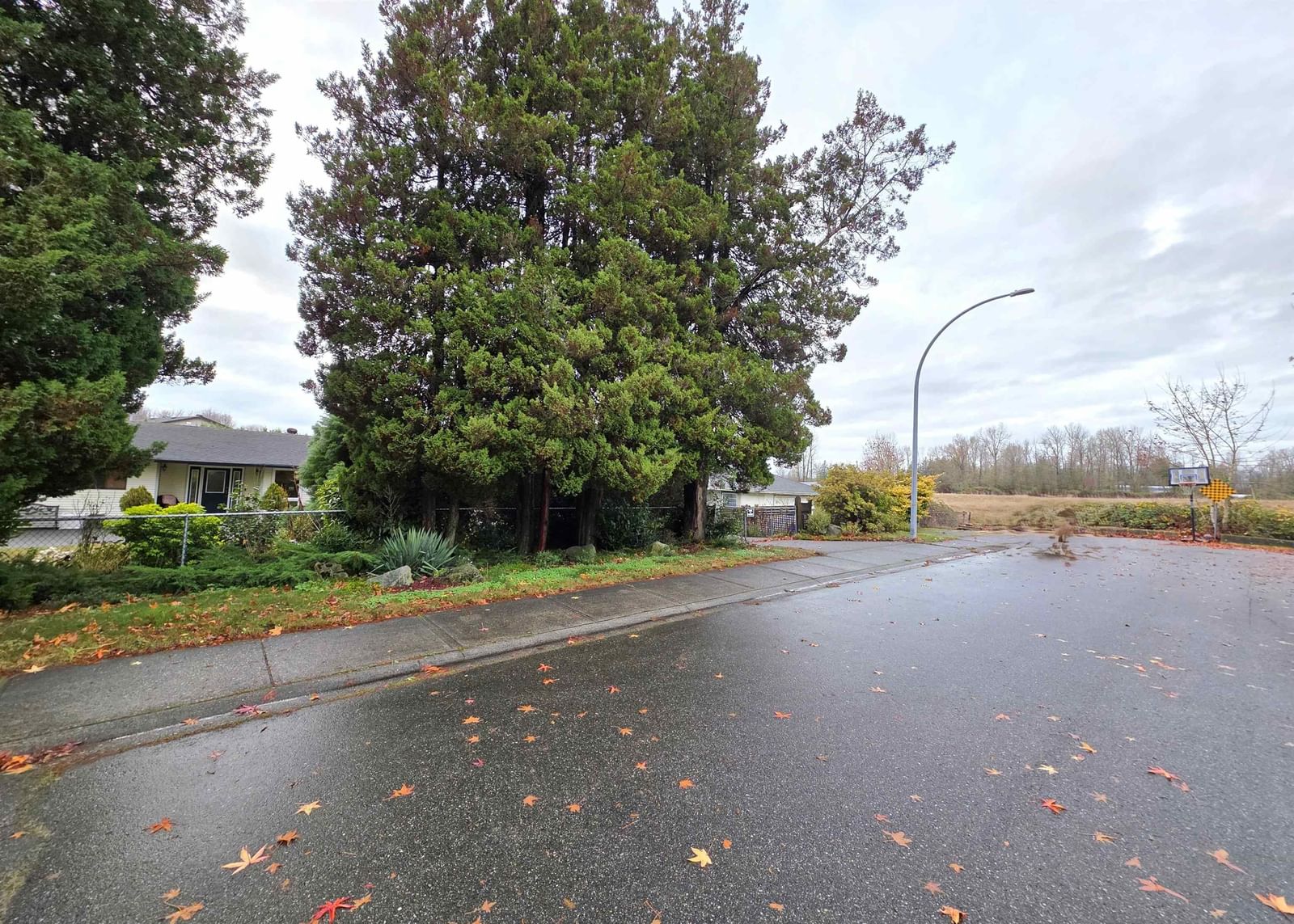 Listing Image 35