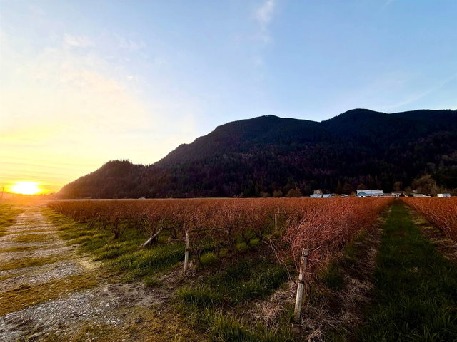 9445 Catherwood Road