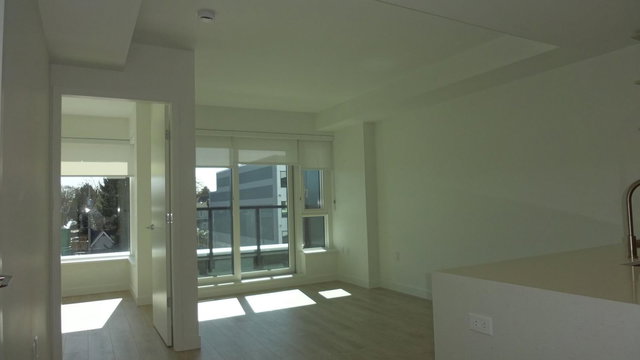 300 - 1981 Macdonald Street