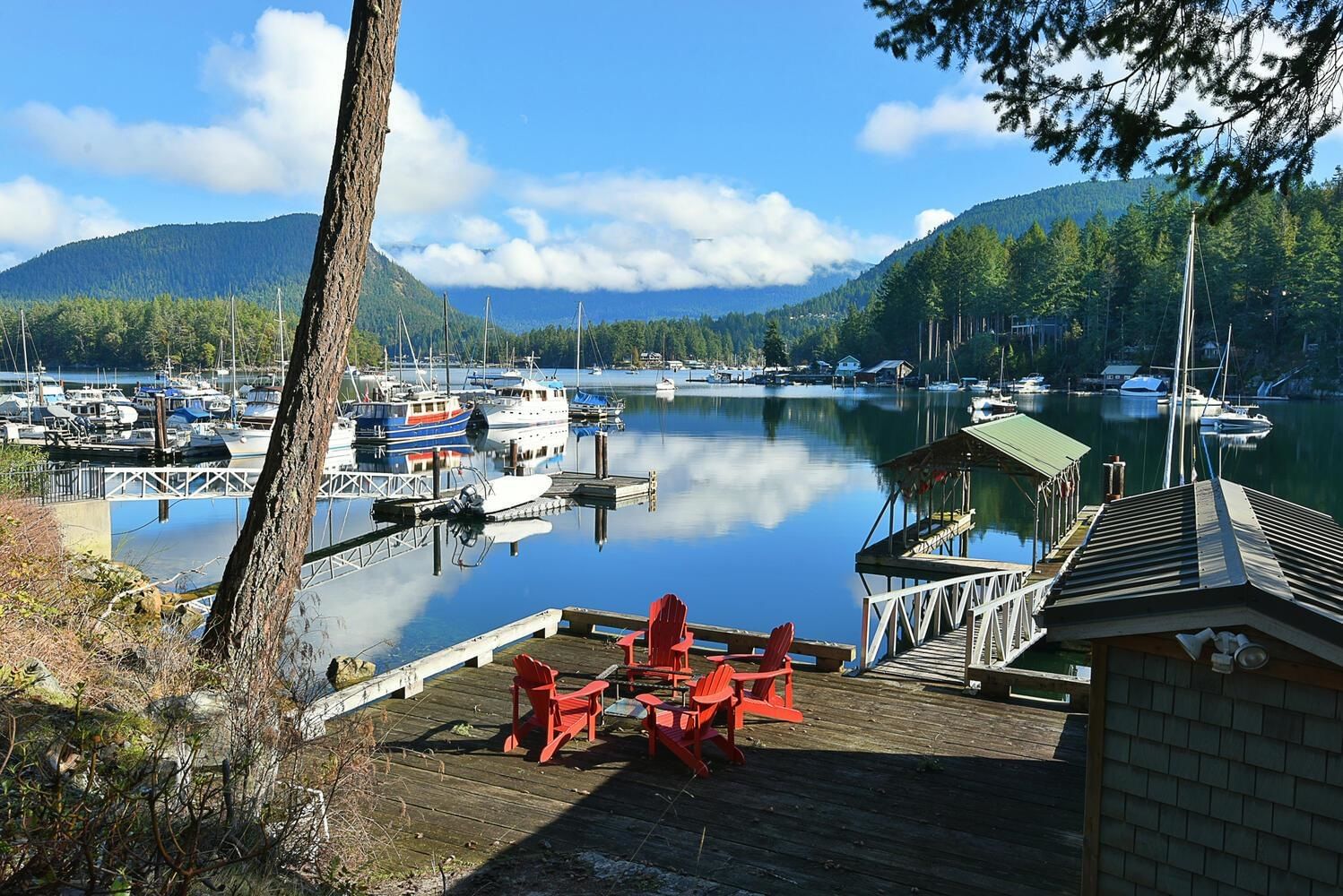 Listing Image 5