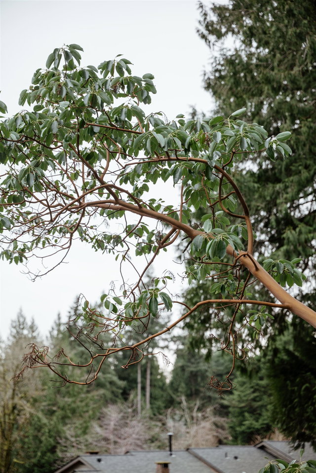 4639 Caulfeild Drive