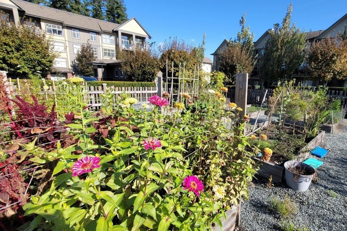 Listing Image 32