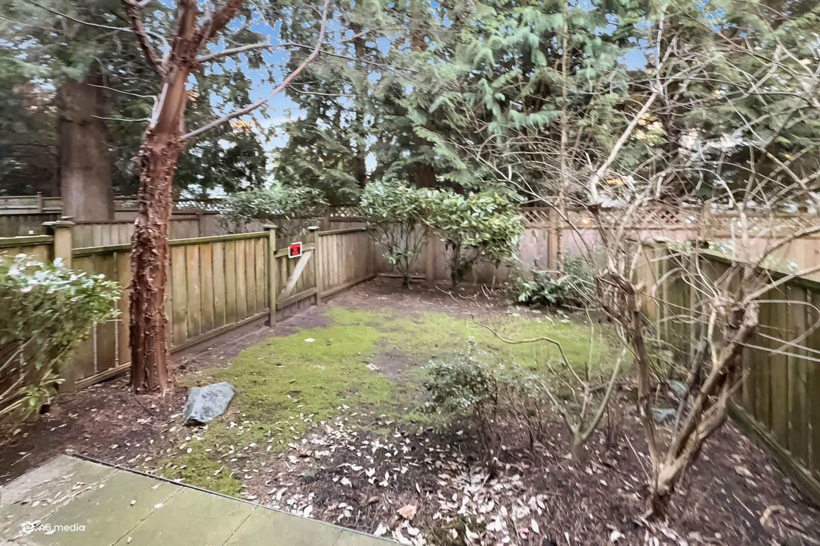 Listing Image 23