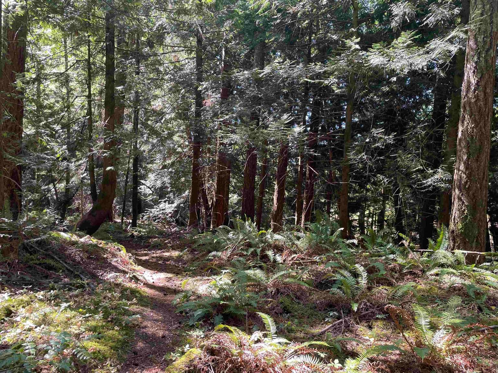 Listing Image 36