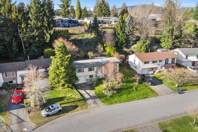 8317 Blueberry Drive