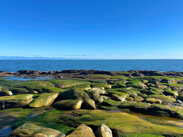 Lot 2 Bodega Beach Drive