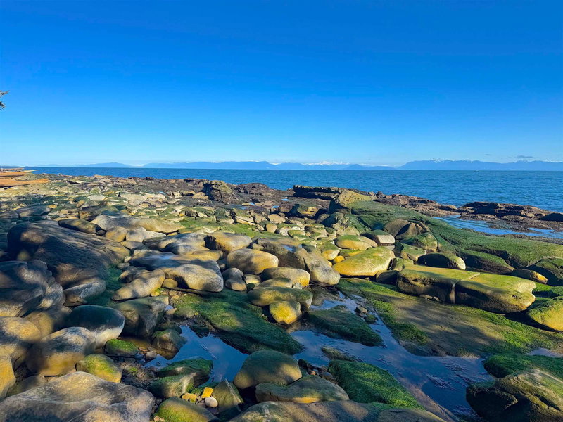 Lot 2 Bodega Beach Drive, Galiano Island, V0N 1P0 | Image 3