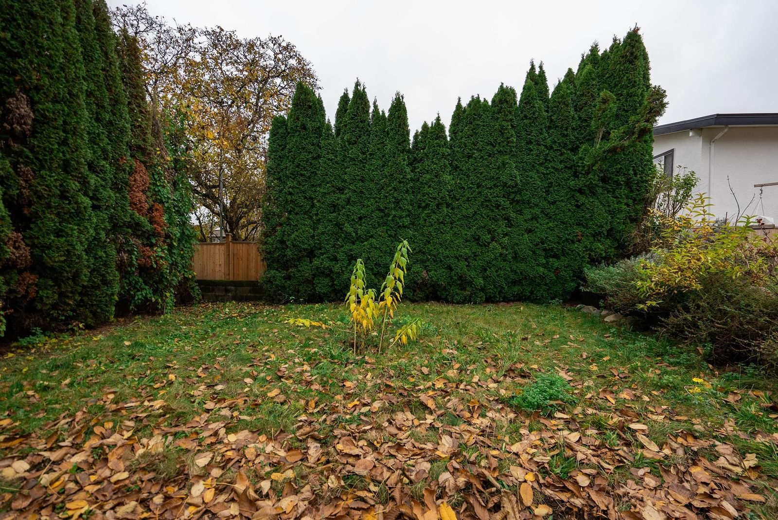 Listing Image 27