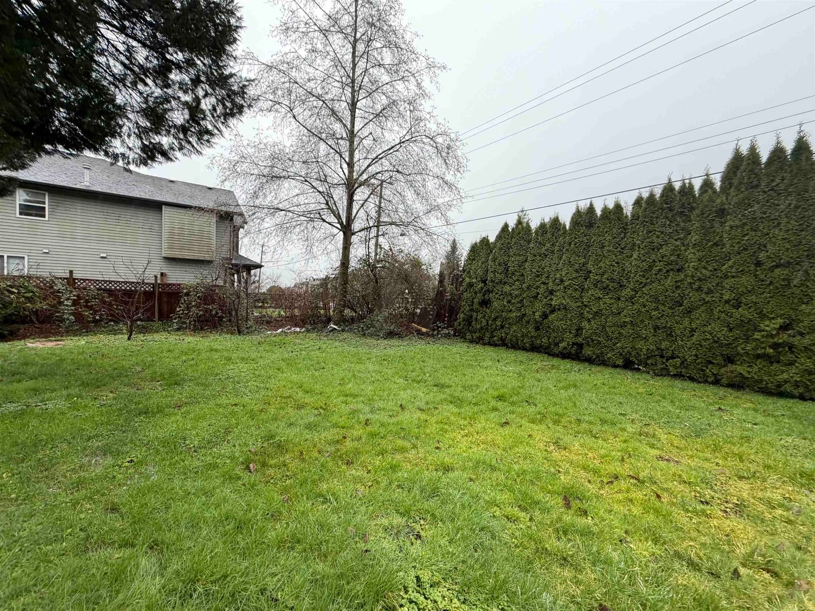 Listing Image 27
