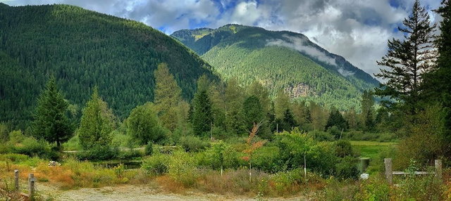 H118 Strawberry Lane