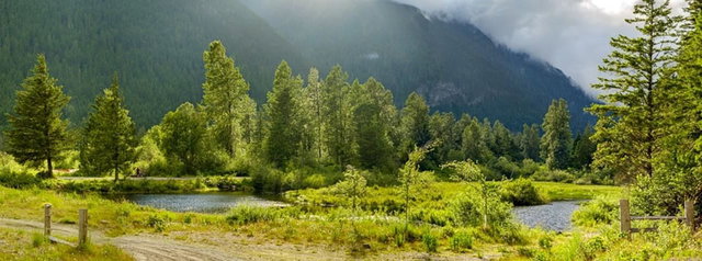 H118 Strawberry Lane