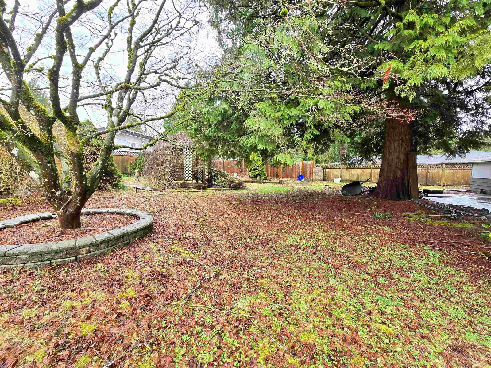 Listing Image 15
