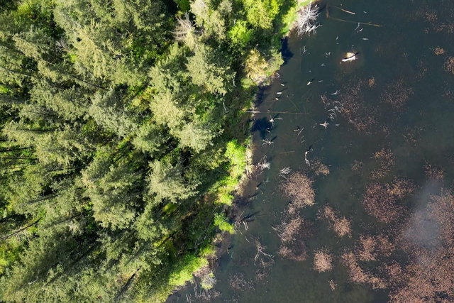 1724 Lougheed Highway