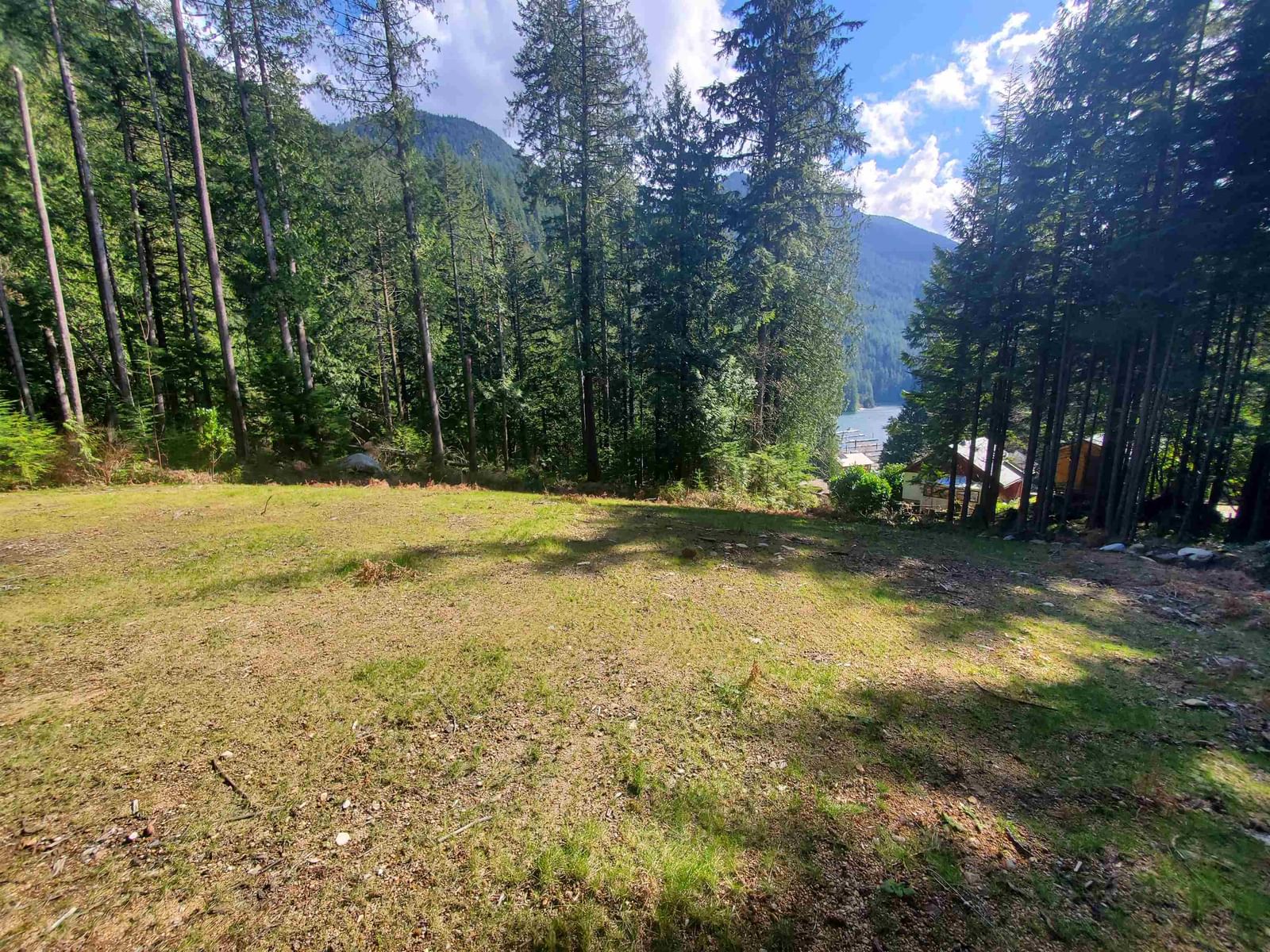 Listing Image 29