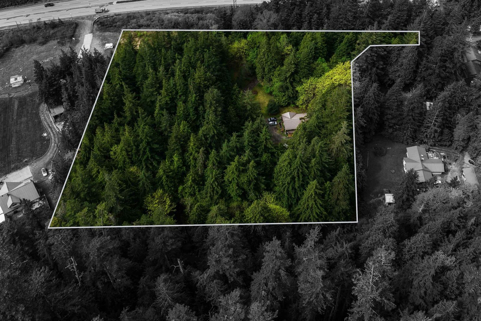 Listing Image 5