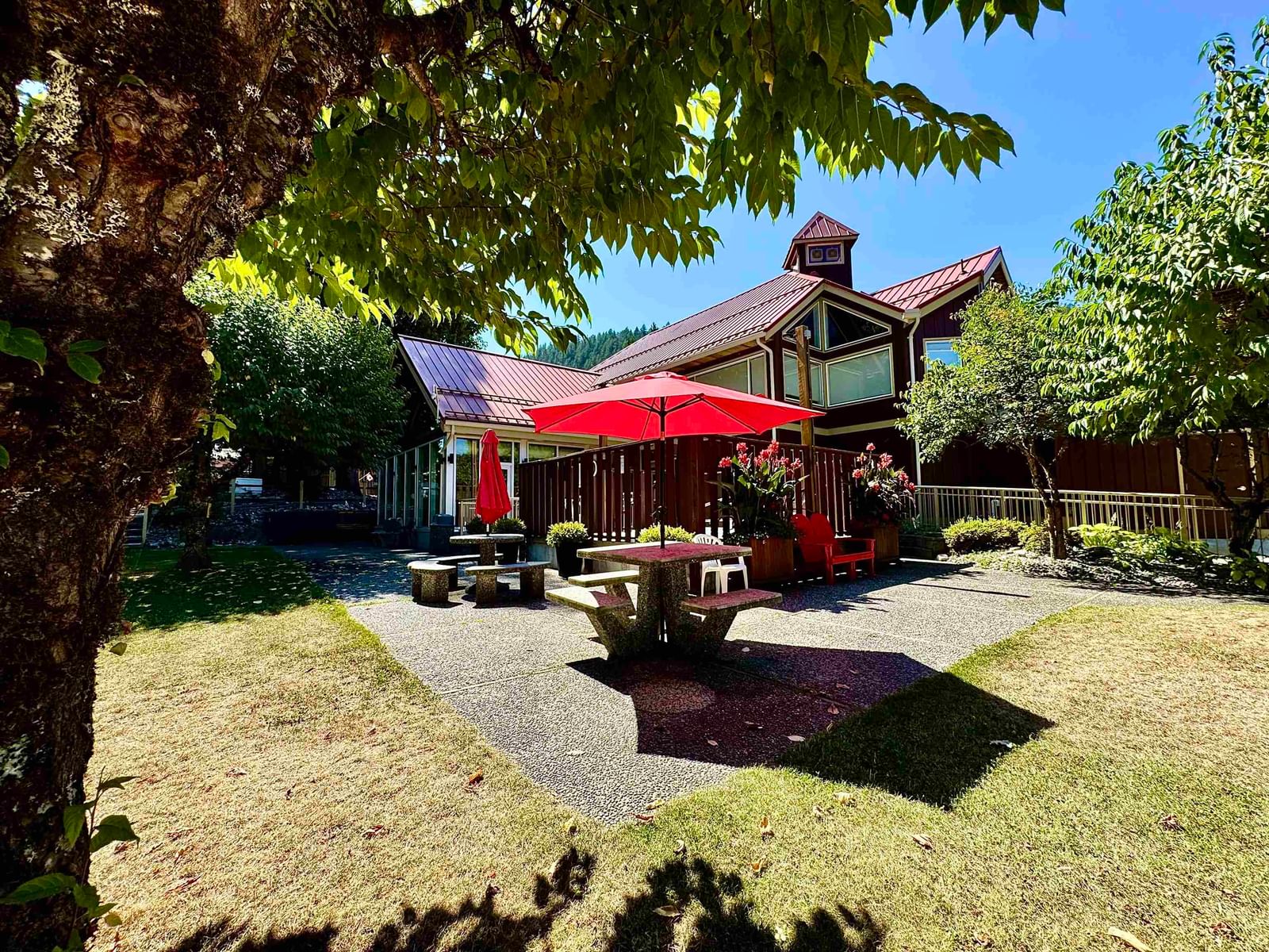 Listing Image 21
