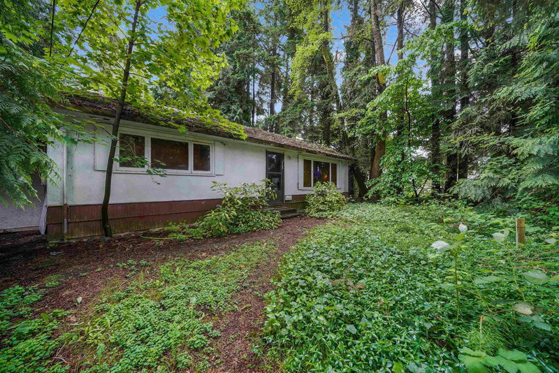 14924 90a Avenue, Surrey, V3R 1B4 | Image 3