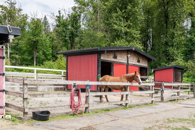 24991 100 Avenue | Maple Ridge | Image