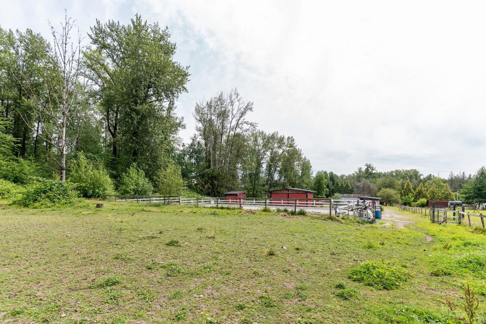 Listing Image 35