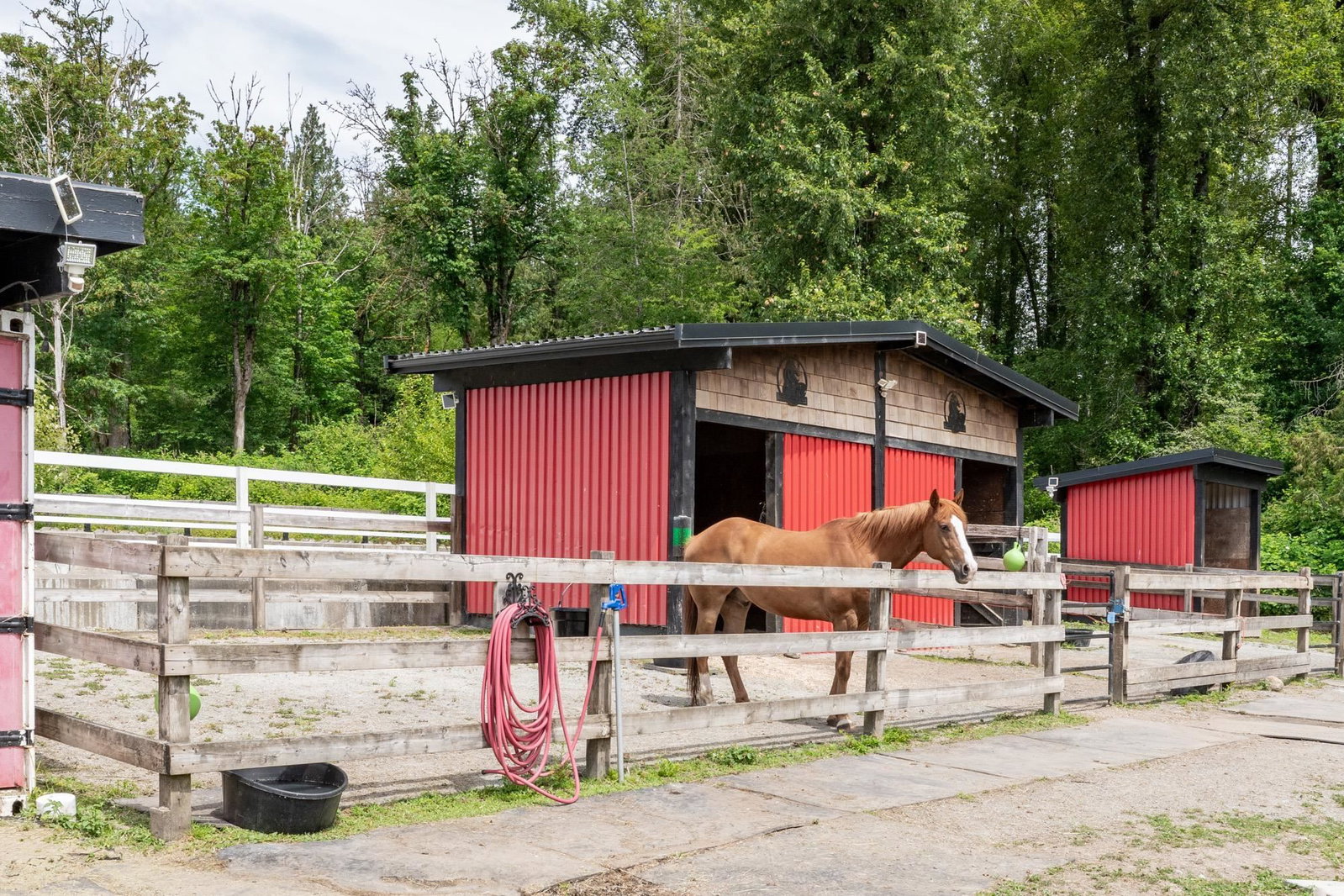 Listing Image 6