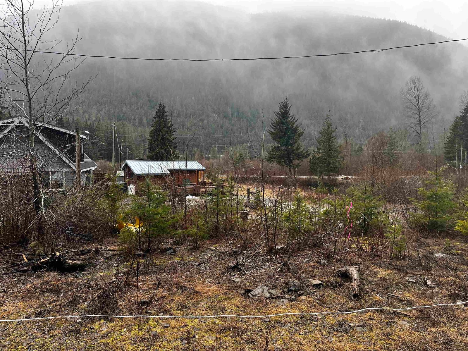 Listing Image 9
