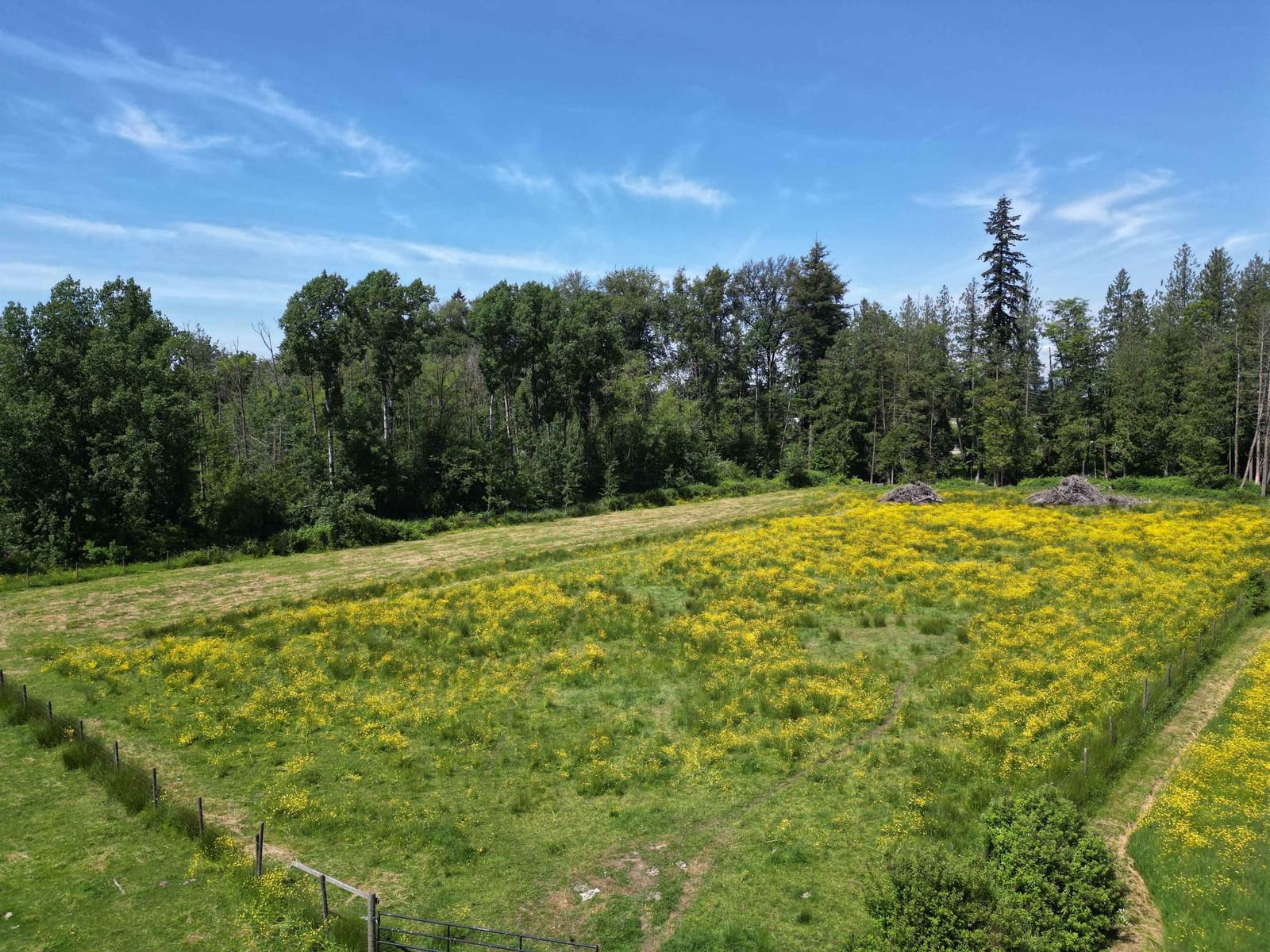 Listing Image 36