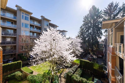 311 - 159 22nd Street | North Vancouver | Image
