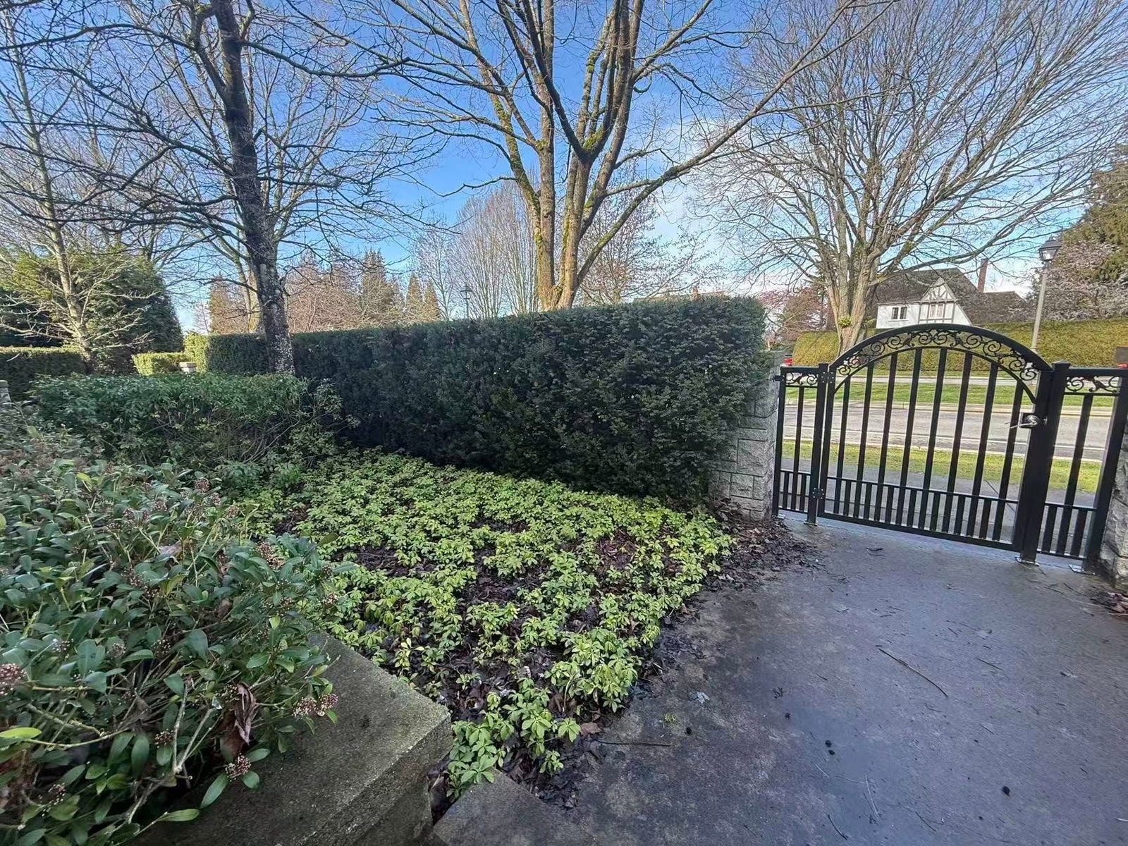 Listing Image 35