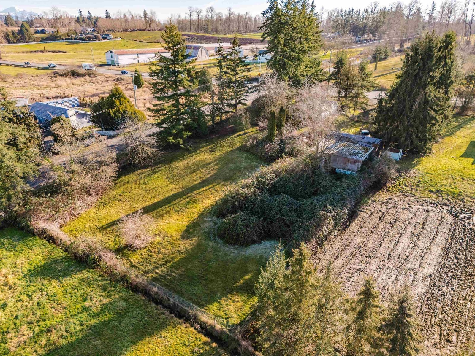 Listing Image 11